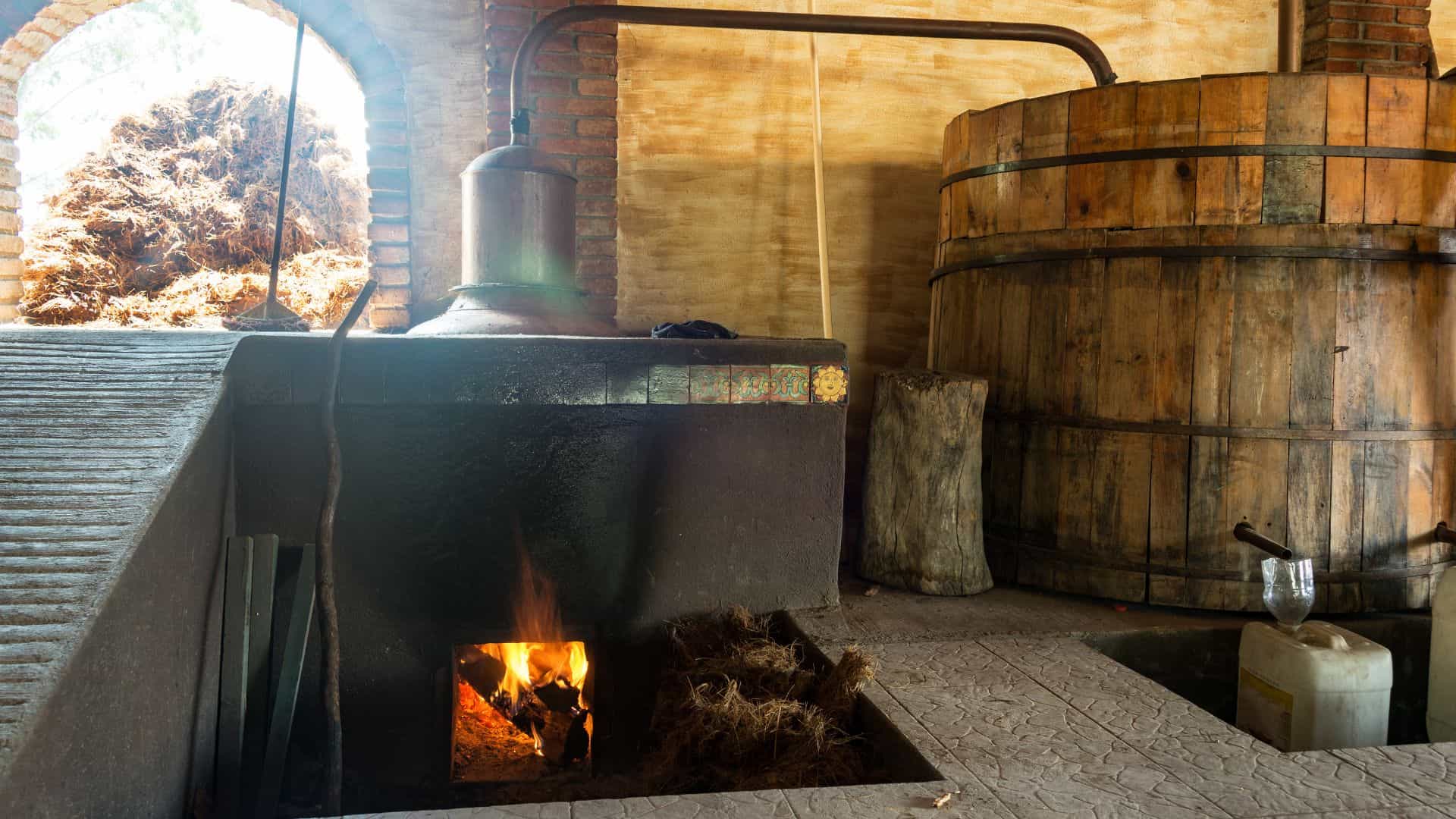 Mujeres del maguey: La revolución femenina del mezcal